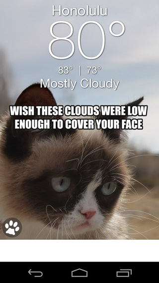 Illustration for article titled The Grumpy Cat Weather App Won't Sugar Coat Things For You